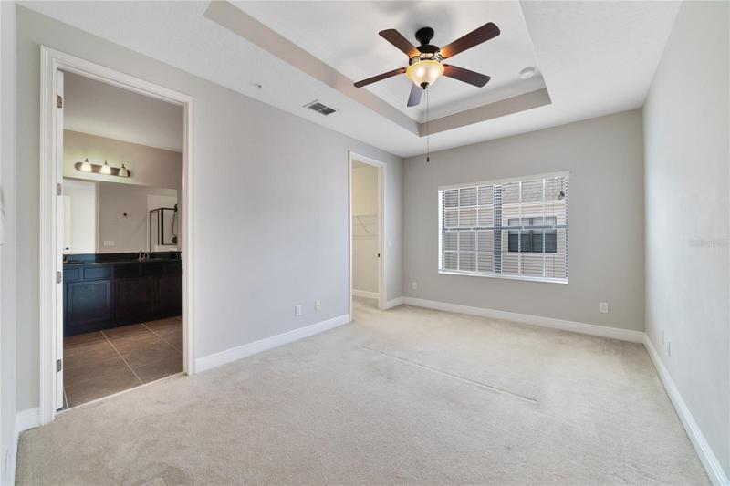 PRIMARY SUITE.