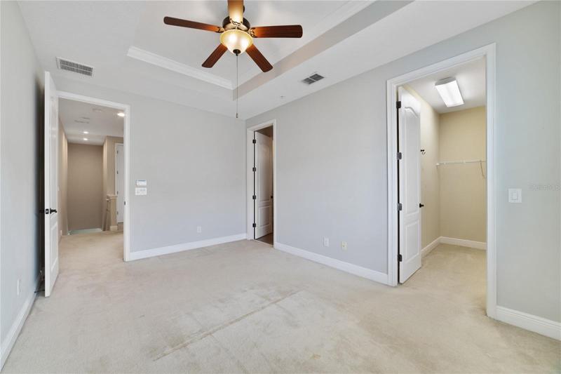 PRIMARY SUITE.