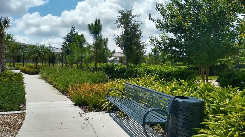 Community garden