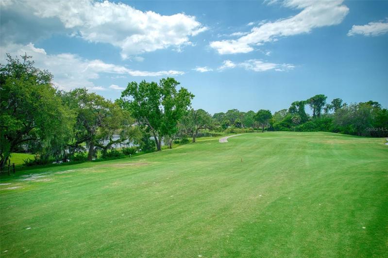 Fairway with pond