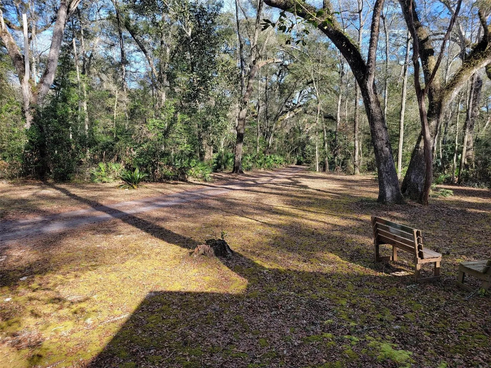 496 NE 558th Street, Old Town, Florida 32680, 3 Bedrooms Bedrooms, ,3 BathroomsBathrooms,Residential,For Sale,558TH,W7856165