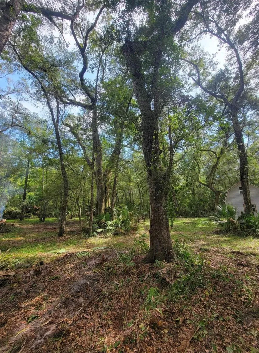 496 NE 558th Street, Old Town, Florida 32680, 3 Bedrooms Bedrooms, ,3 BathroomsBathrooms,Residential,For Sale,558TH,W7856165