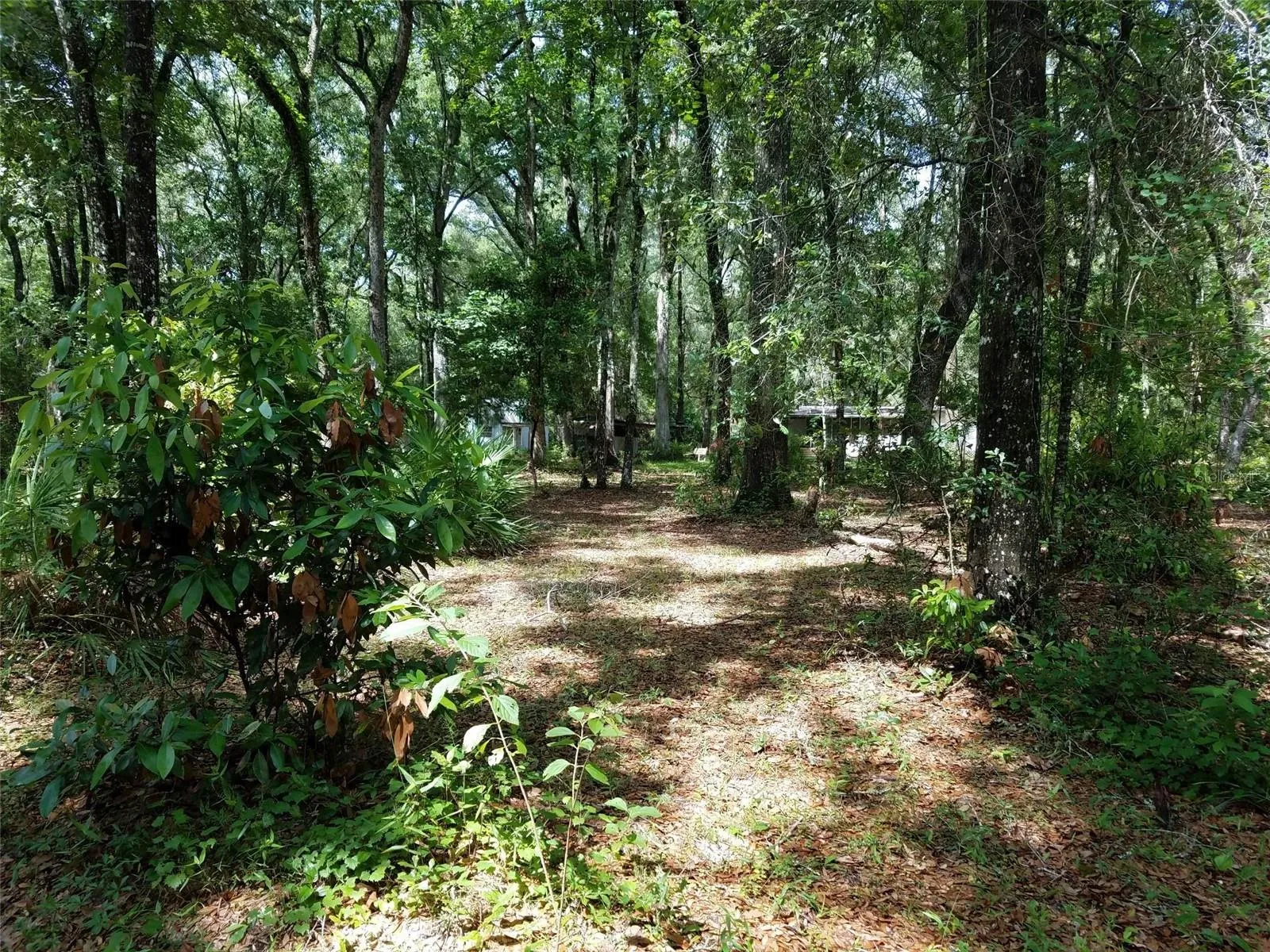 496 NE 558th Street, Old Town, Florida 32680, 3 Bedrooms Bedrooms, ,3 BathroomsBathrooms,Residential,For Sale,558TH,W7856165