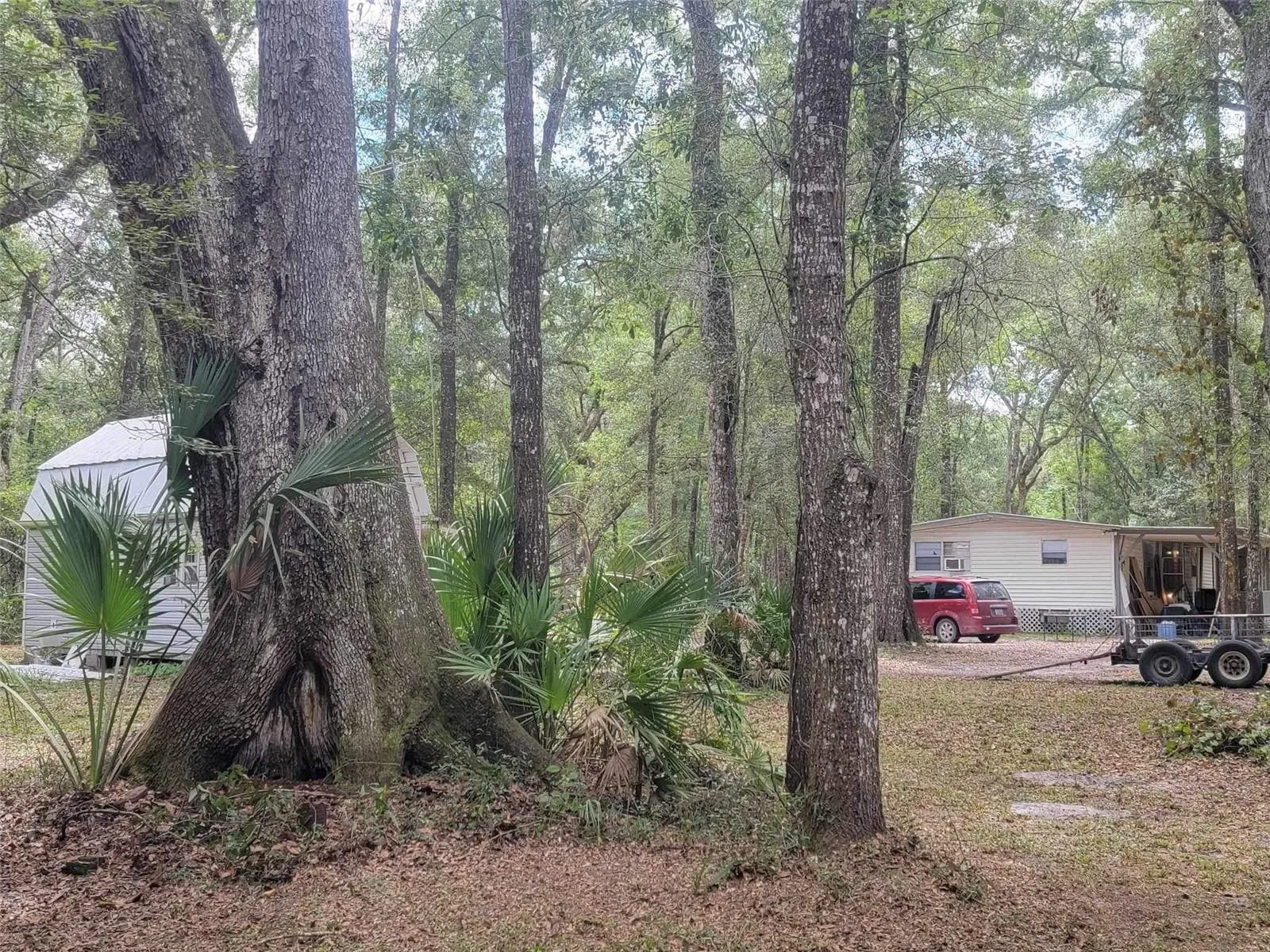496 NE 558th Street, Old Town, Florida 32680, 3 Bedrooms Bedrooms, ,3 BathroomsBathrooms,Residential,For Sale,558TH,W7856165