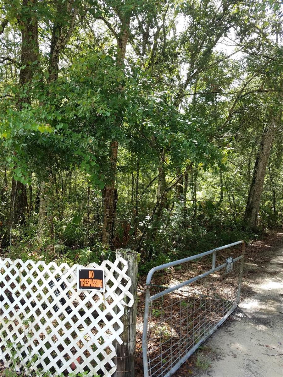 496 NE 558th Street, Old Town, Florida 32680, 3 Bedrooms Bedrooms, ,3 BathroomsBathrooms,Residential,For Sale,558TH,W7856165