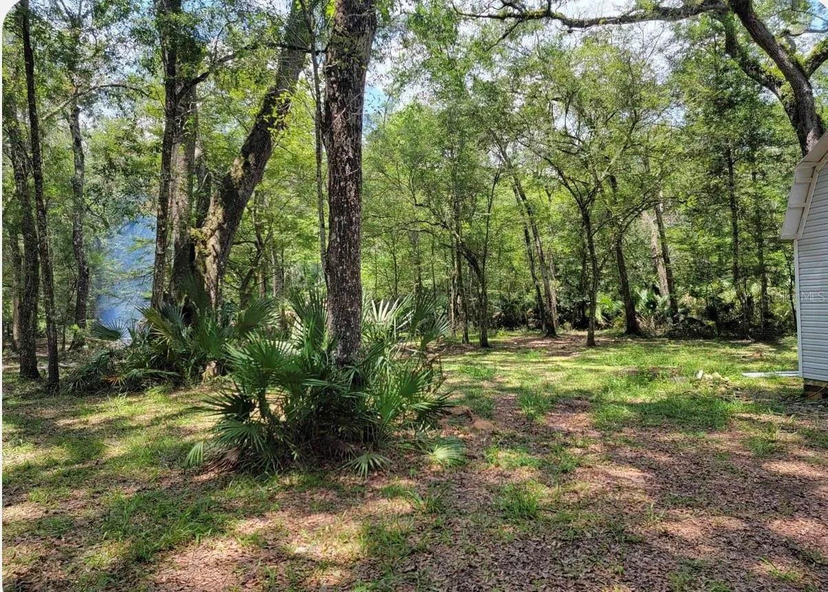 496 NE 558th Street, Old Town, Florida 32680, 3 Bedrooms Bedrooms, ,3 BathroomsBathrooms,Residential,For Sale,558TH,W7856165