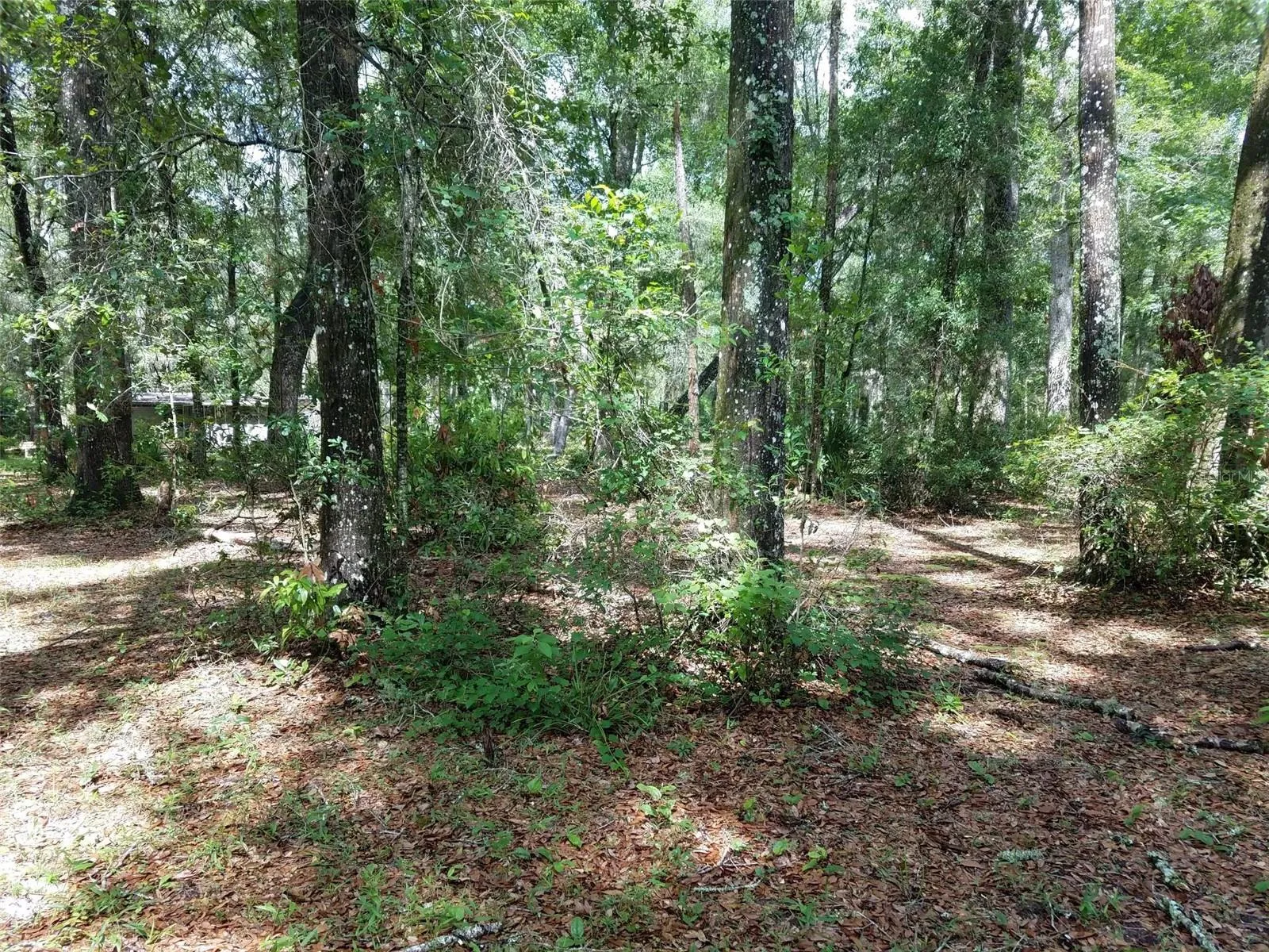 496 NE 558th Street, Old Town, Florida 32680, 3 Bedrooms Bedrooms, ,3 BathroomsBathrooms,Residential,For Sale,558TH,W7856165