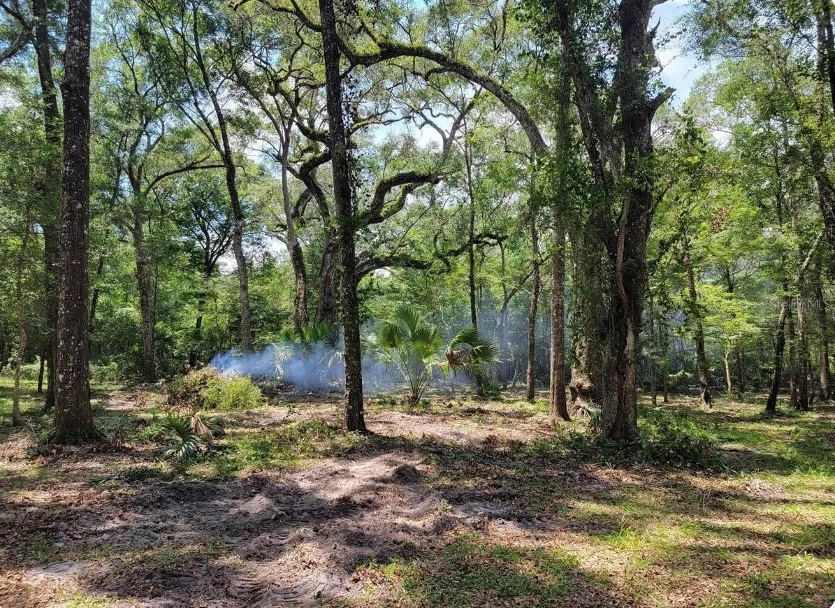 496 NE 558th Street, Old Town, Florida 32680, 3 Bedrooms Bedrooms, ,3 BathroomsBathrooms,Residential,For Sale,558TH,W7856165