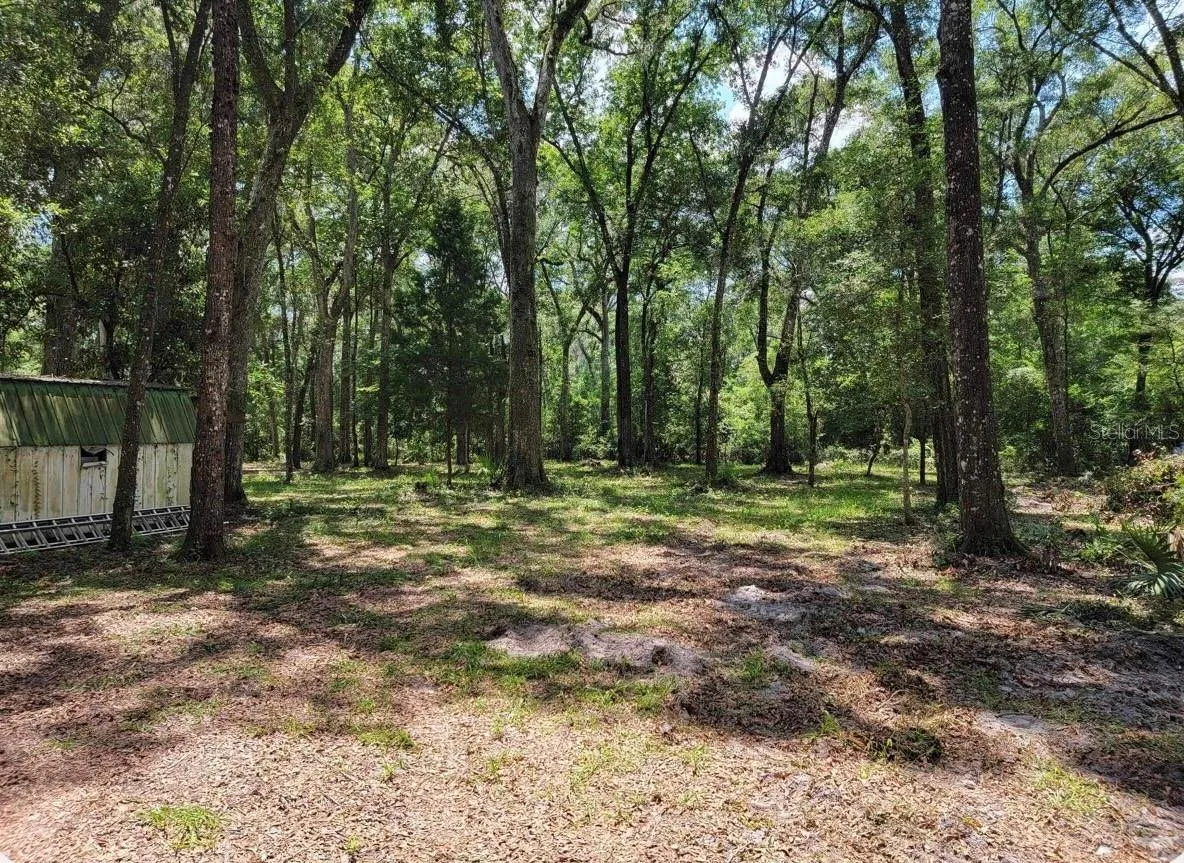 496 NE 558th Street, Old Town, Florida 32680, 3 Bedrooms Bedrooms, ,3 BathroomsBathrooms,Residential,For Sale,558TH,W7856165