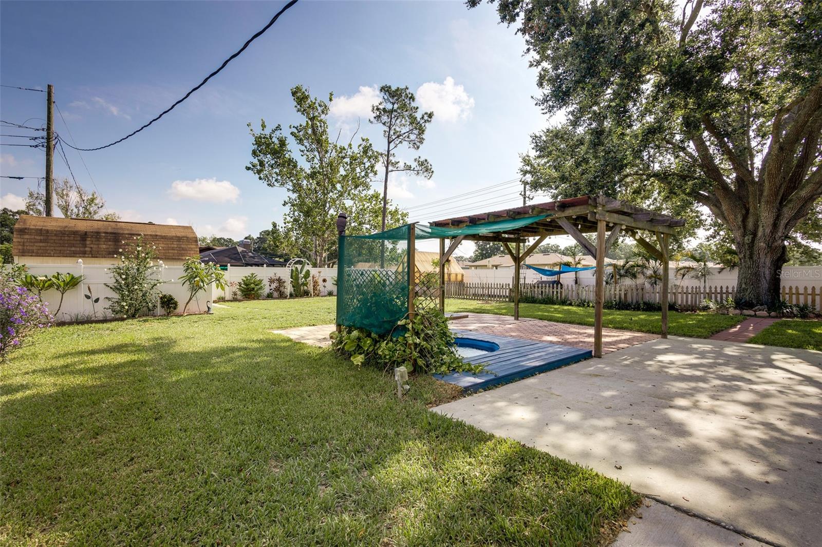 Backyard2