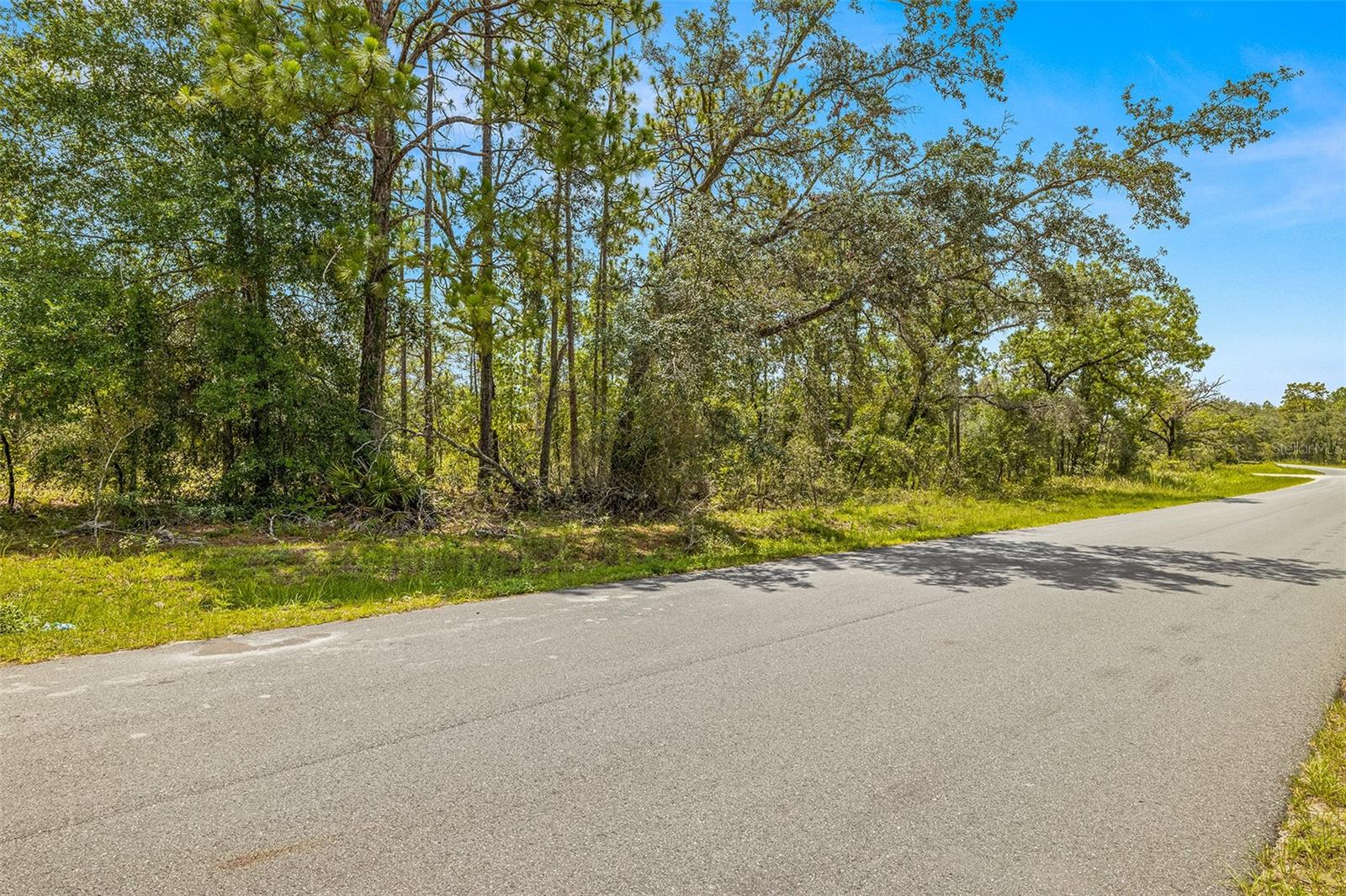 Dusky Warbler Road, Weeki Wachee, Florida 34614, ,Land,For Sale,DUSKY WARBLER,U8205764