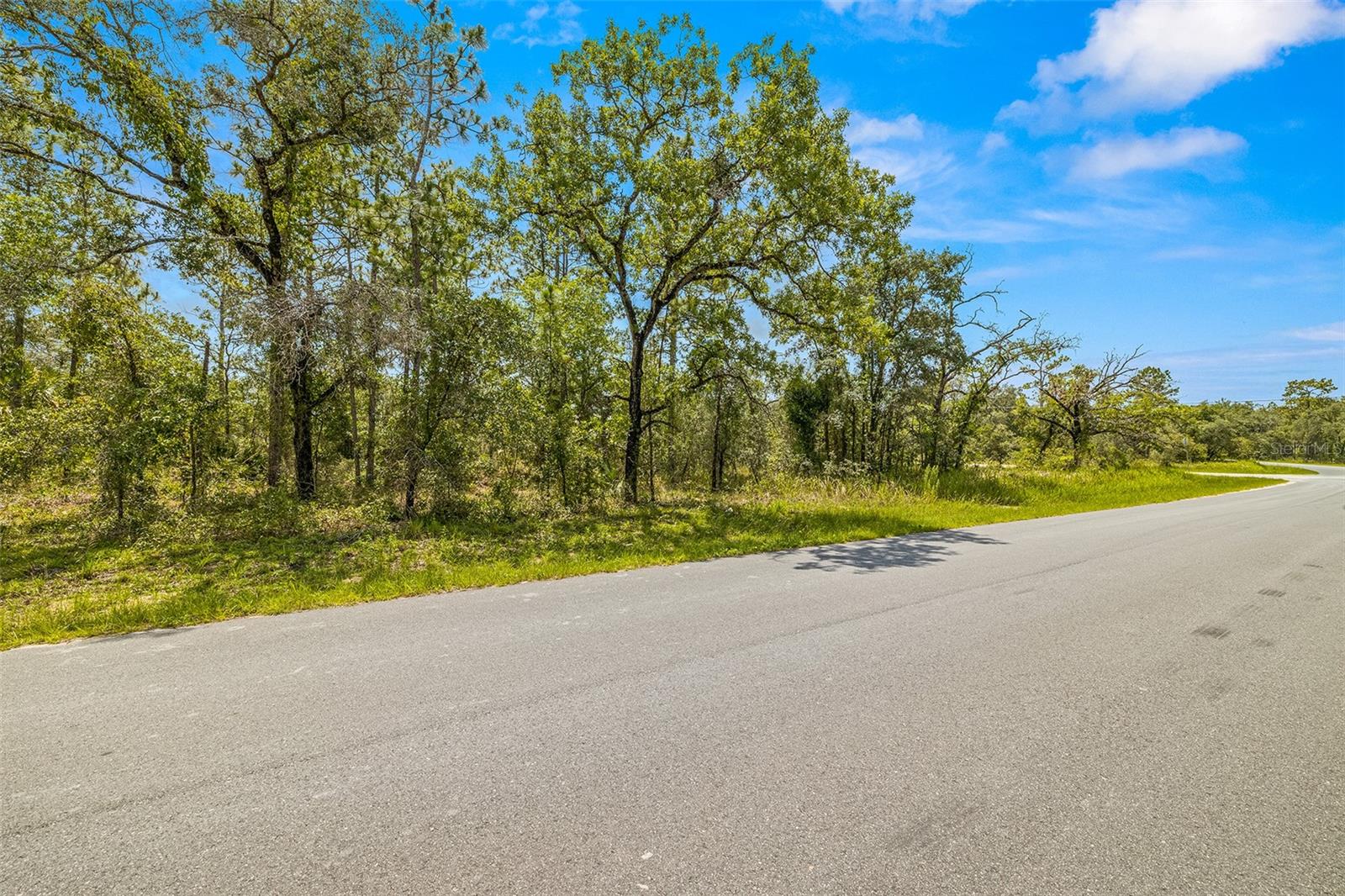 Dusky Warbler Road, Weeki Wachee, Florida 34614, ,Land,For Sale,DUSKY WARBLER,U8205764