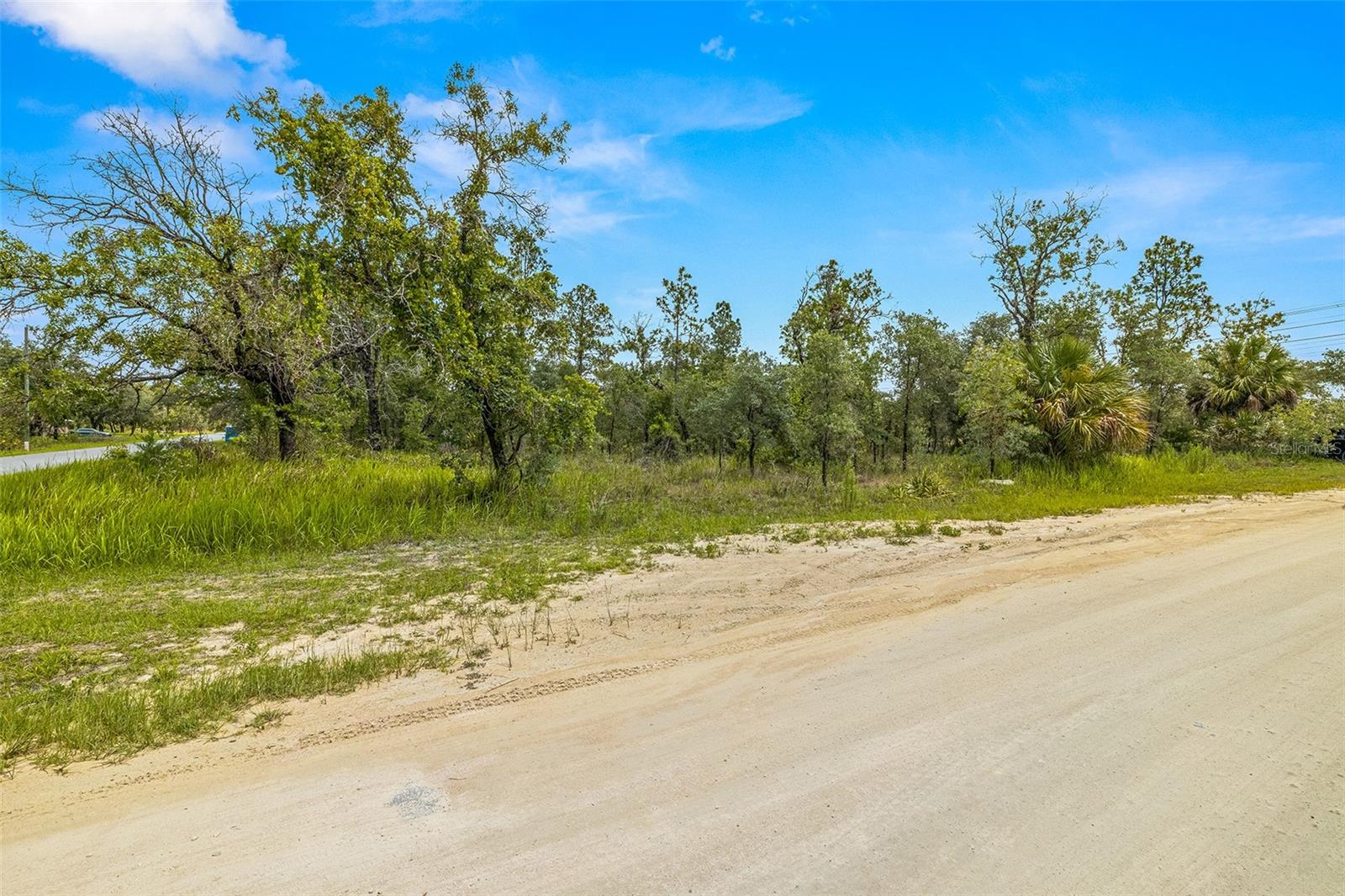 Dusky Warbler Road, Weeki Wachee, Florida 34614, ,Land,For Sale,DUSKY WARBLER,U8205764