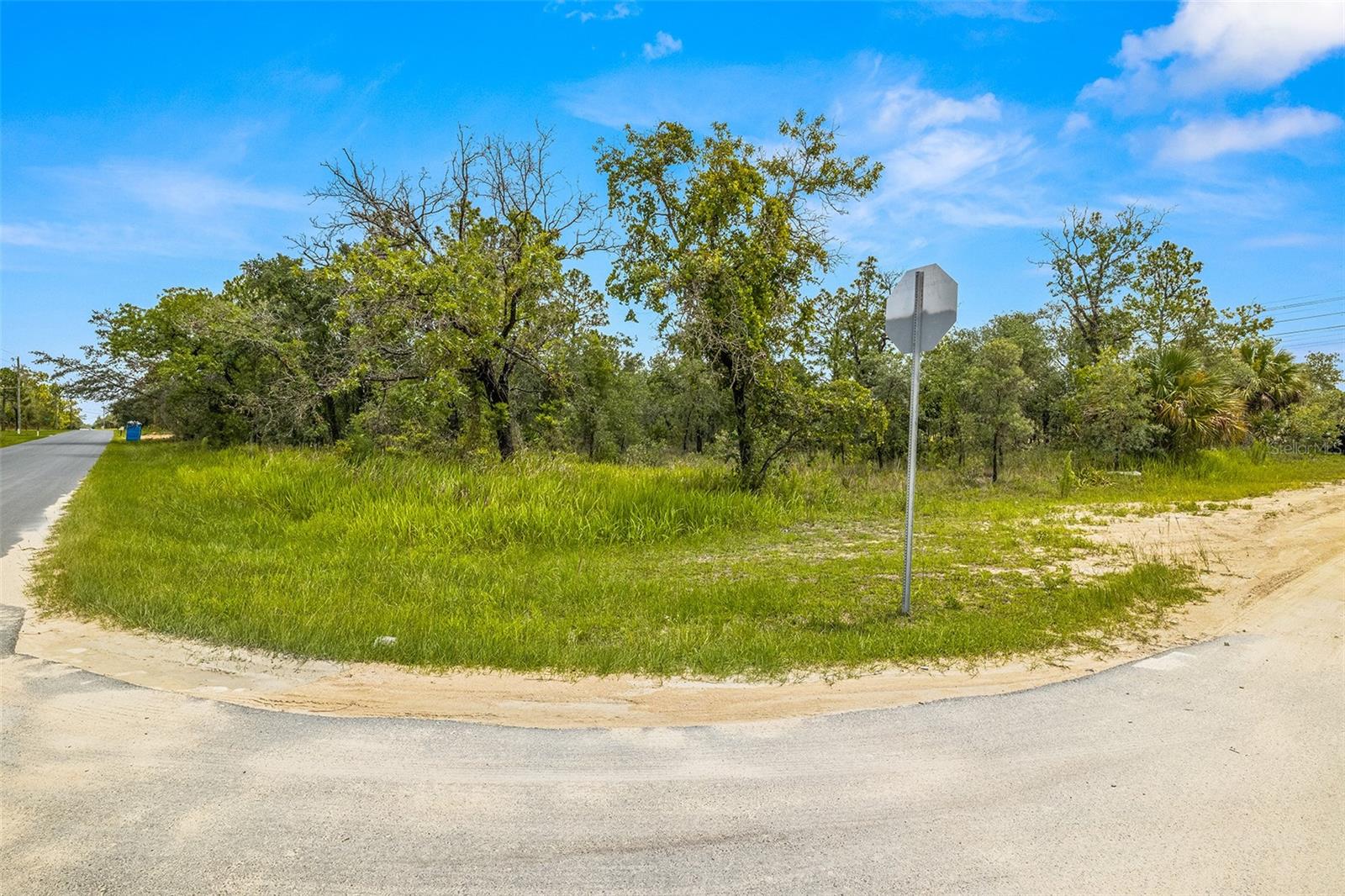 Dusky Warbler Road, Weeki Wachee, Florida 34614, ,Land,For Sale,DUSKY WARBLER,U8205764