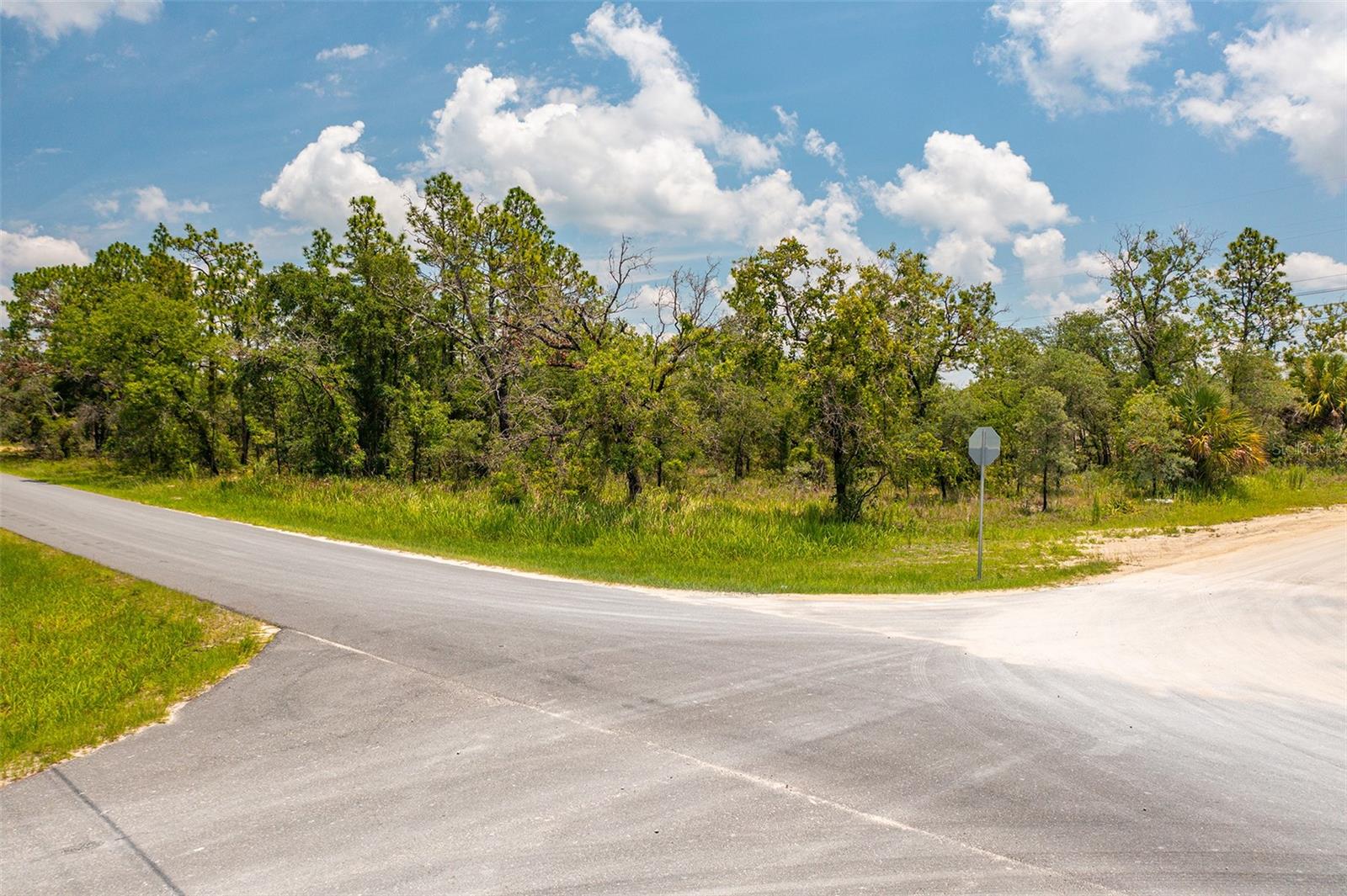 Dusky Warbler Road, Weeki Wachee, Florida 34614, ,Land,For Sale,DUSKY WARBLER,U8205764