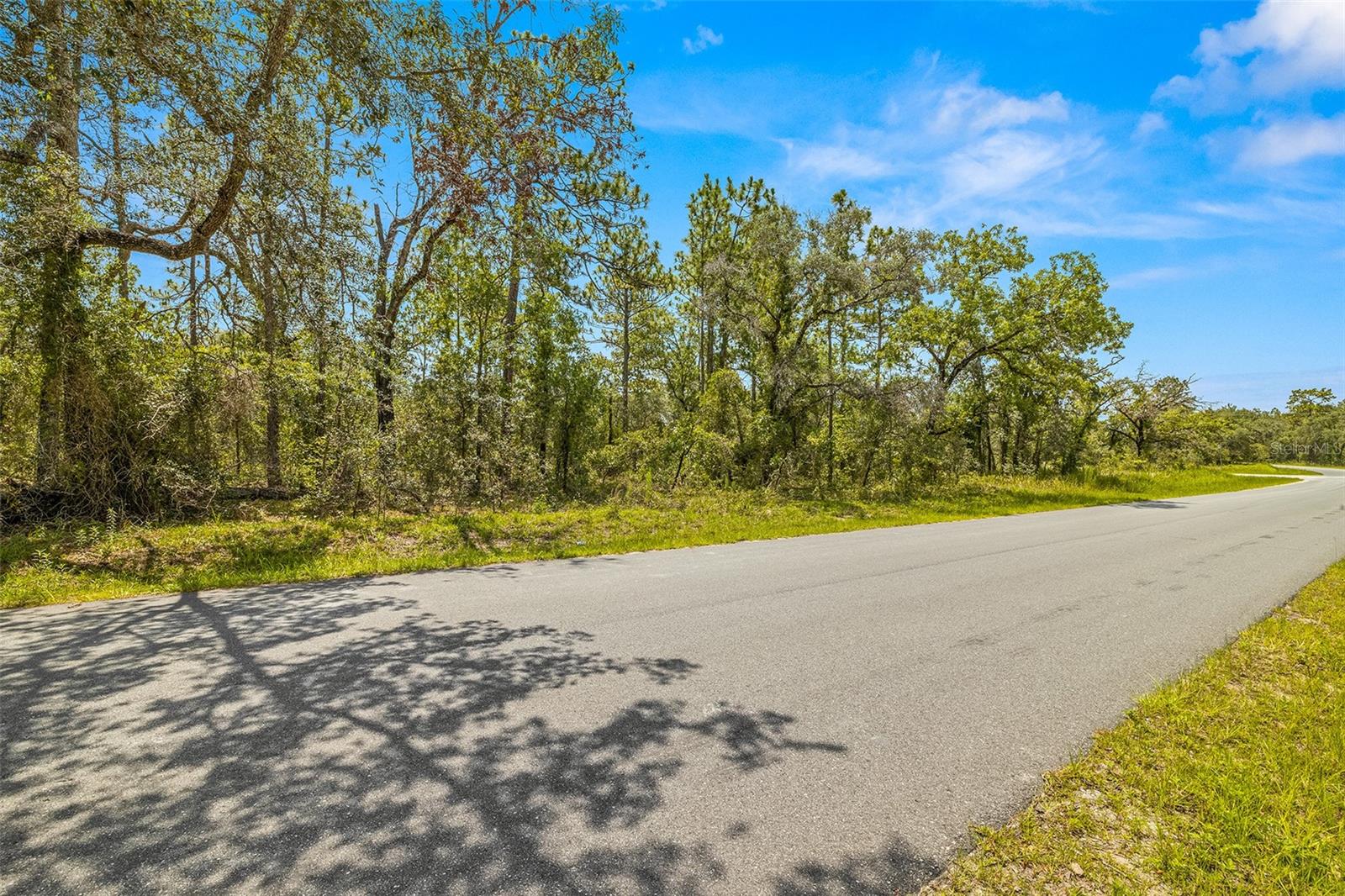 Dusky Warbler Road, Weeki Wachee, Florida 34614, ,Land,For Sale,DUSKY WARBLER,U8205764