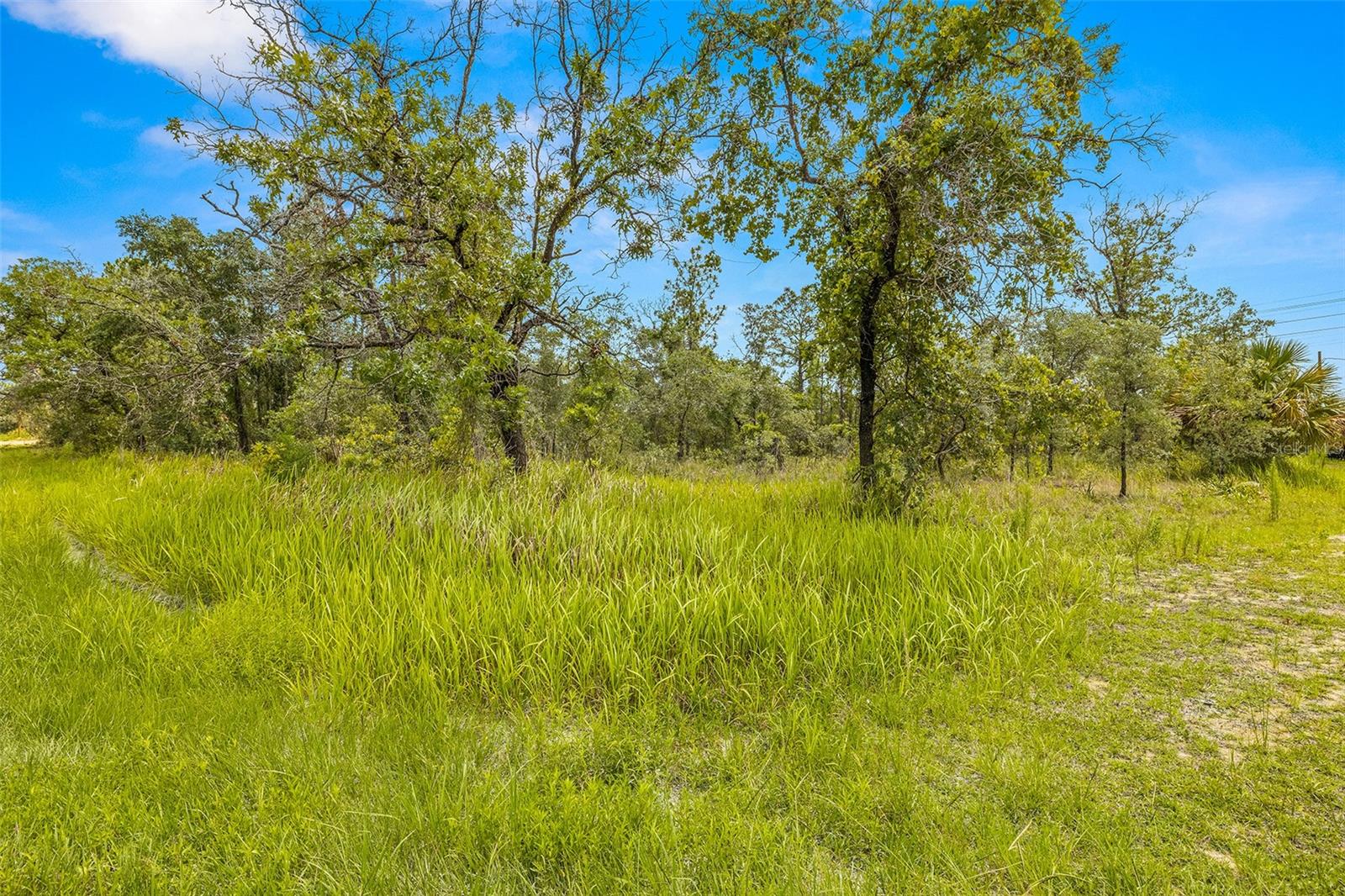 Dusky Warbler Road, Weeki Wachee, Florida 34614, ,Land,For Sale,DUSKY WARBLER,U8205764