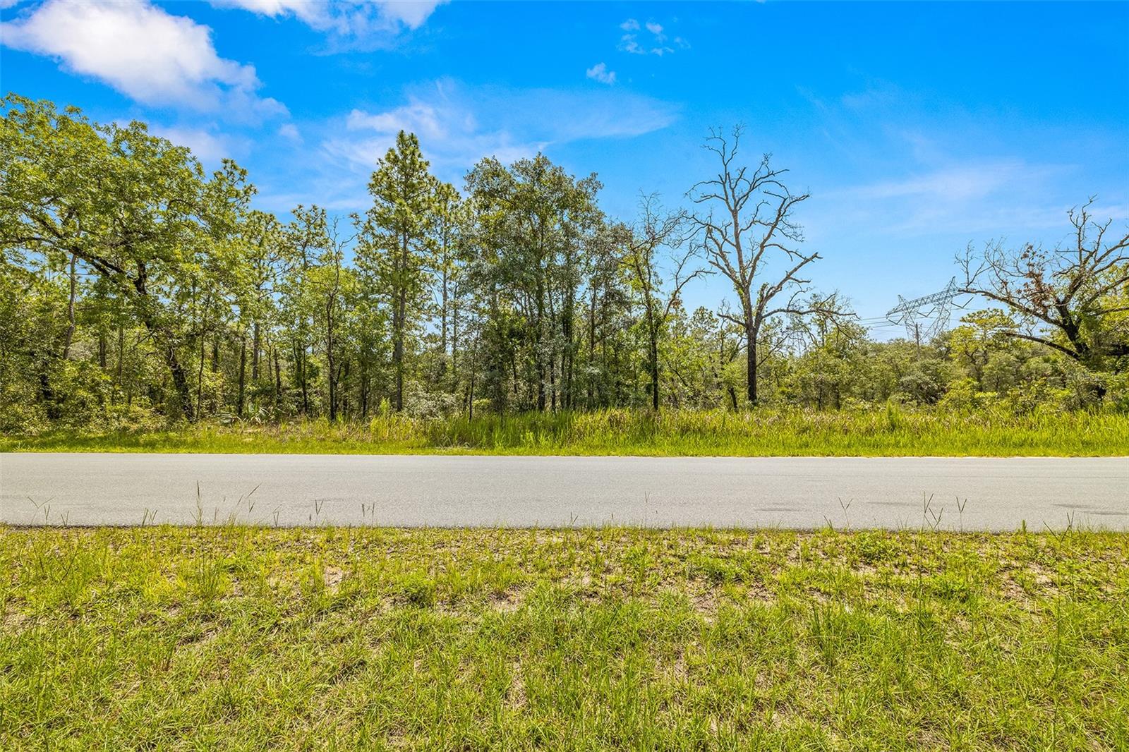 Dusky Warbler Road, Weeki Wachee, Florida 34614, ,Land,For Sale,DUSKY WARBLER,U8205764