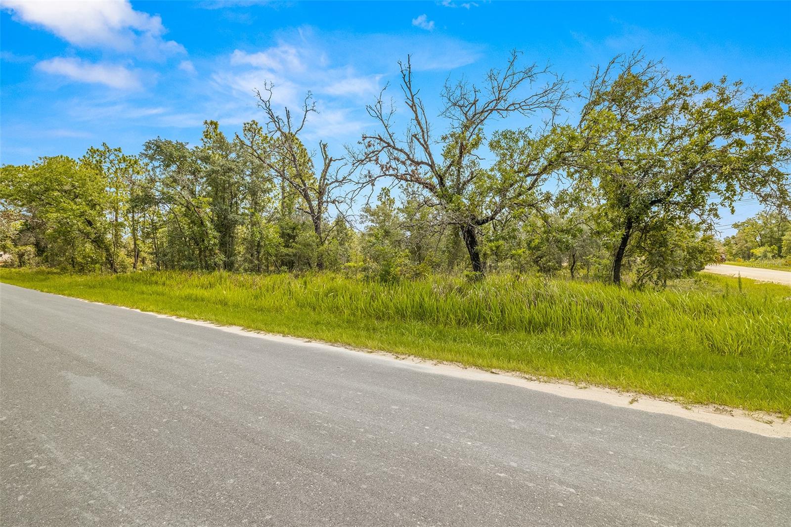 Dusky Warbler Road, Weeki Wachee, Florida 34614, ,Land,For Sale,DUSKY WARBLER,U8205764