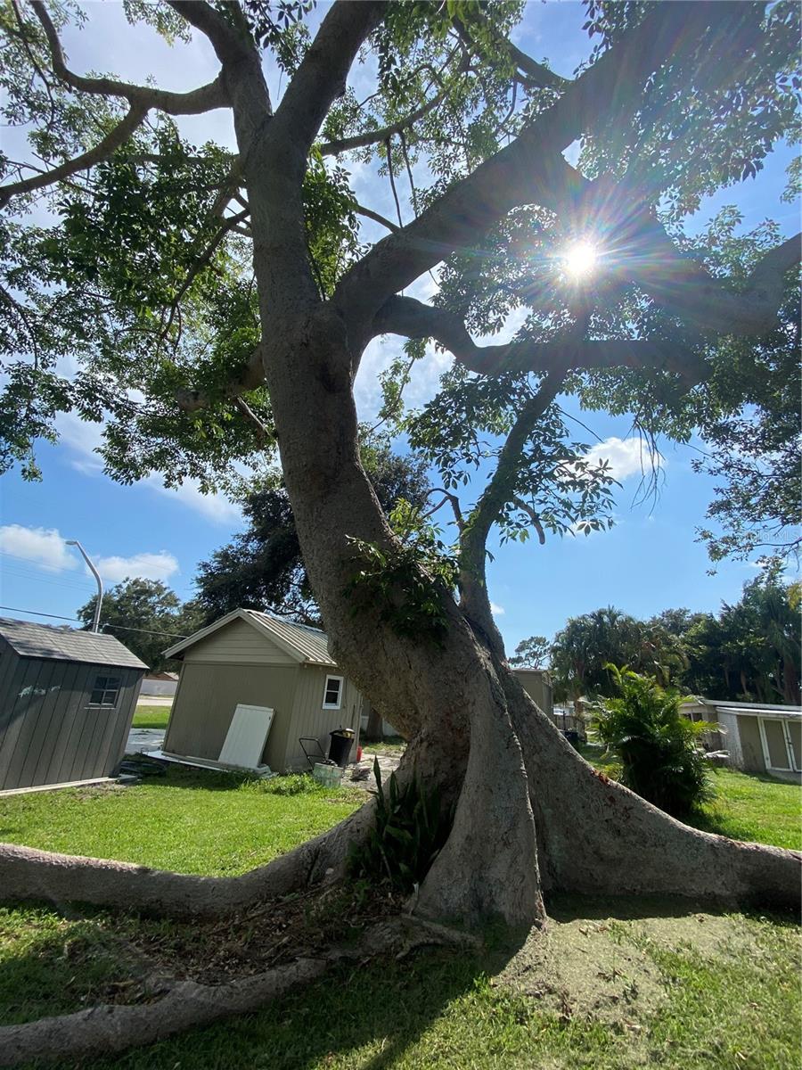 1804 Edmondson Road, Nokomis, Florida 34275, 2 Bedrooms Bedrooms, ,1 BathroomBathrooms,Residential,For Sale,EDMONDSON,A4575380