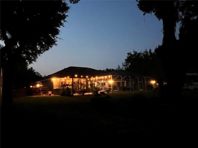 night view