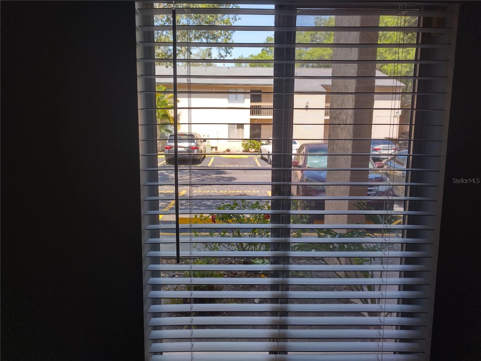 Window in Master Bedroom
