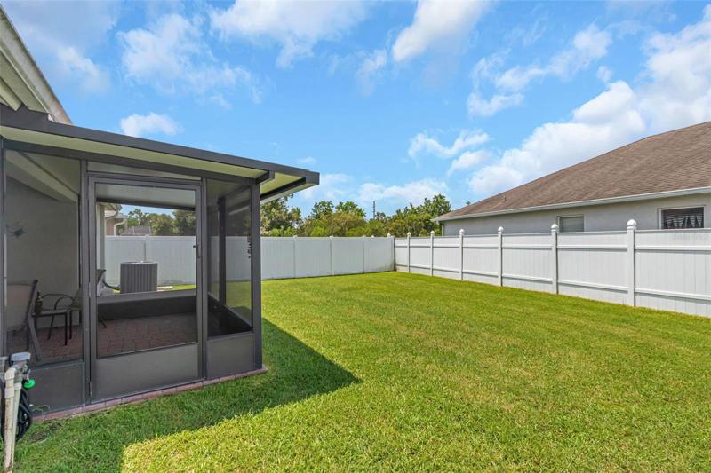 Back yard