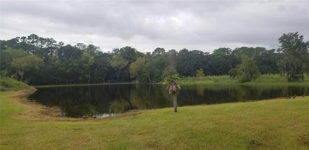 Pond