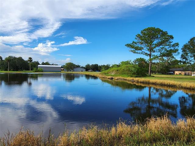 Pond