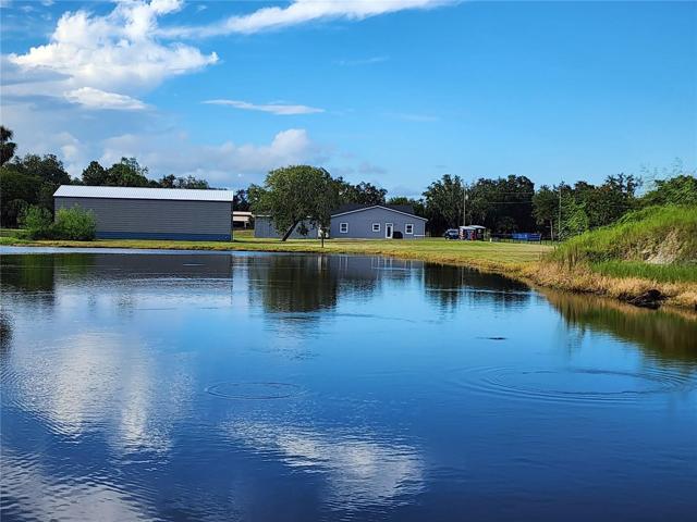 Pond