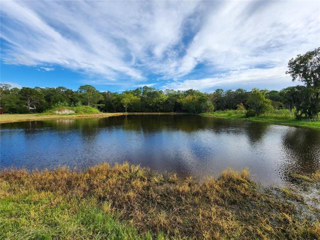 Pond
