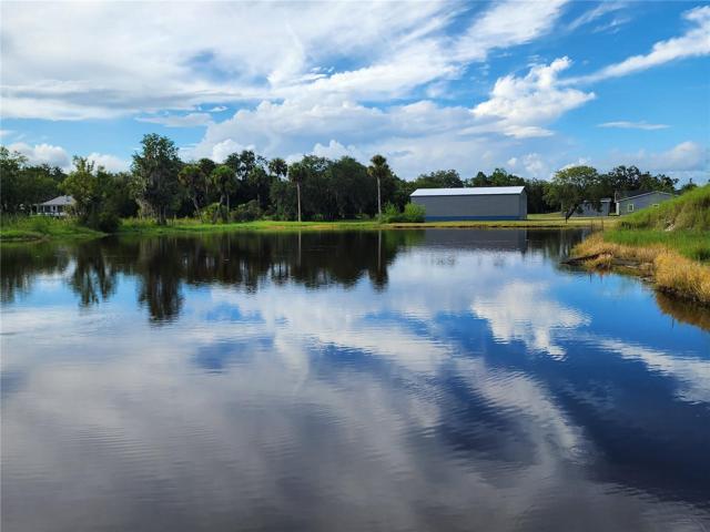 Pond