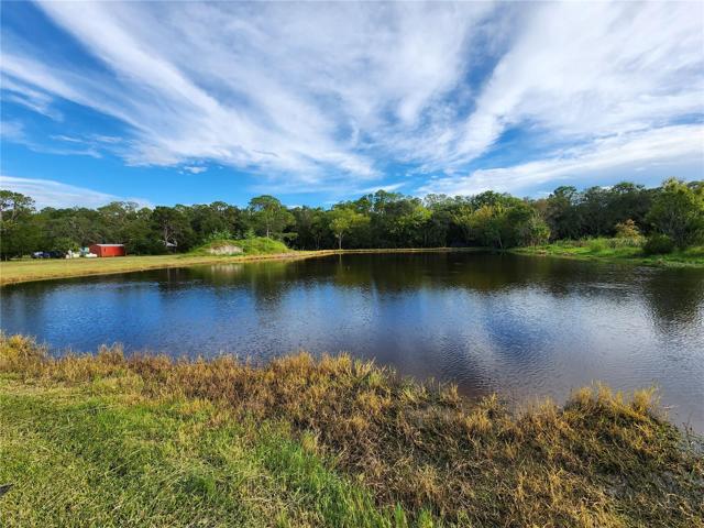 Pond