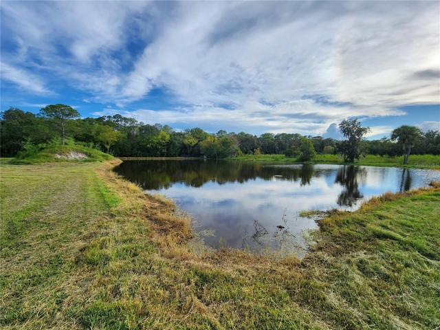 Pond