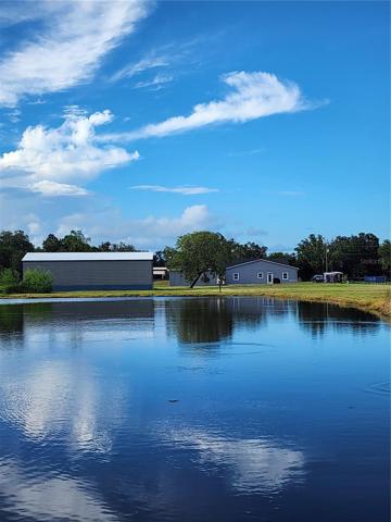 Pond