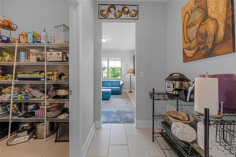 Walk-in kitchen pantry