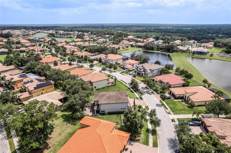 Arial view