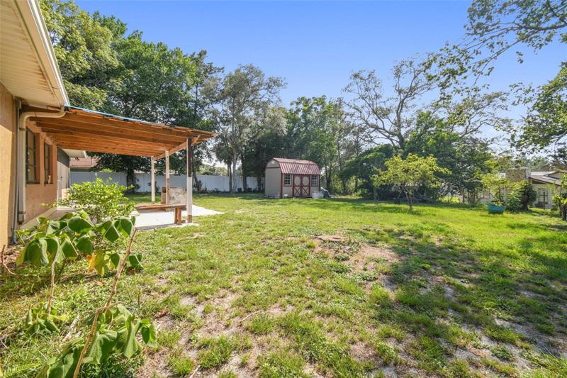 Back Yard