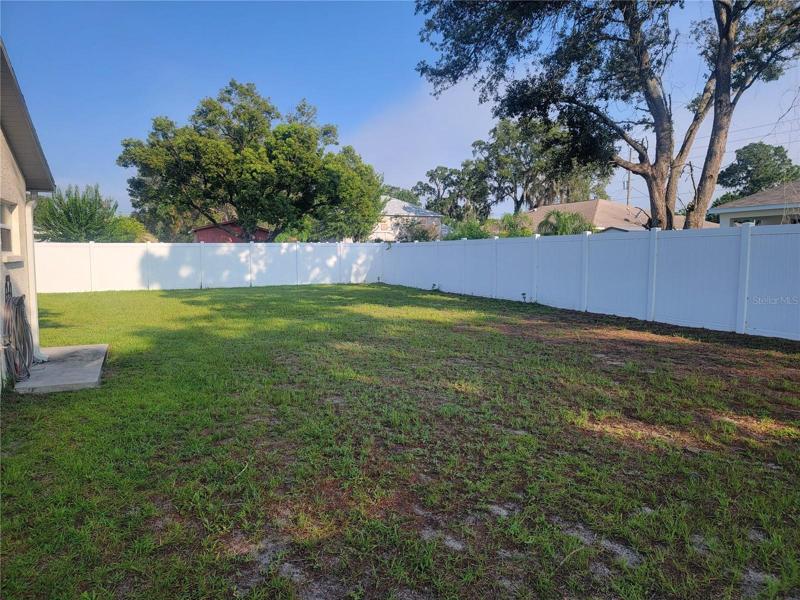 Backyard