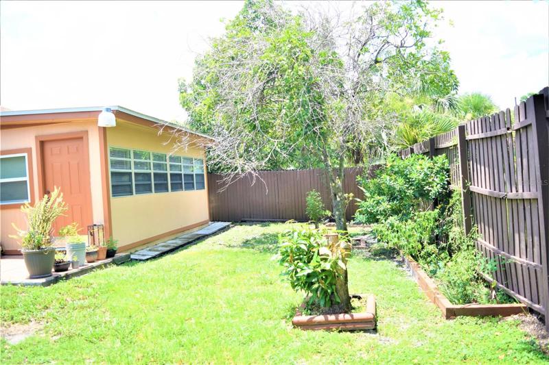 Fenced Backyard
