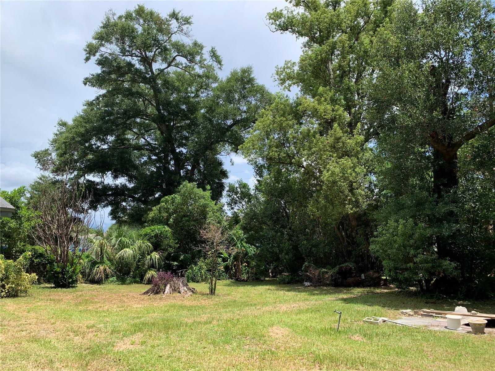 Backyard view