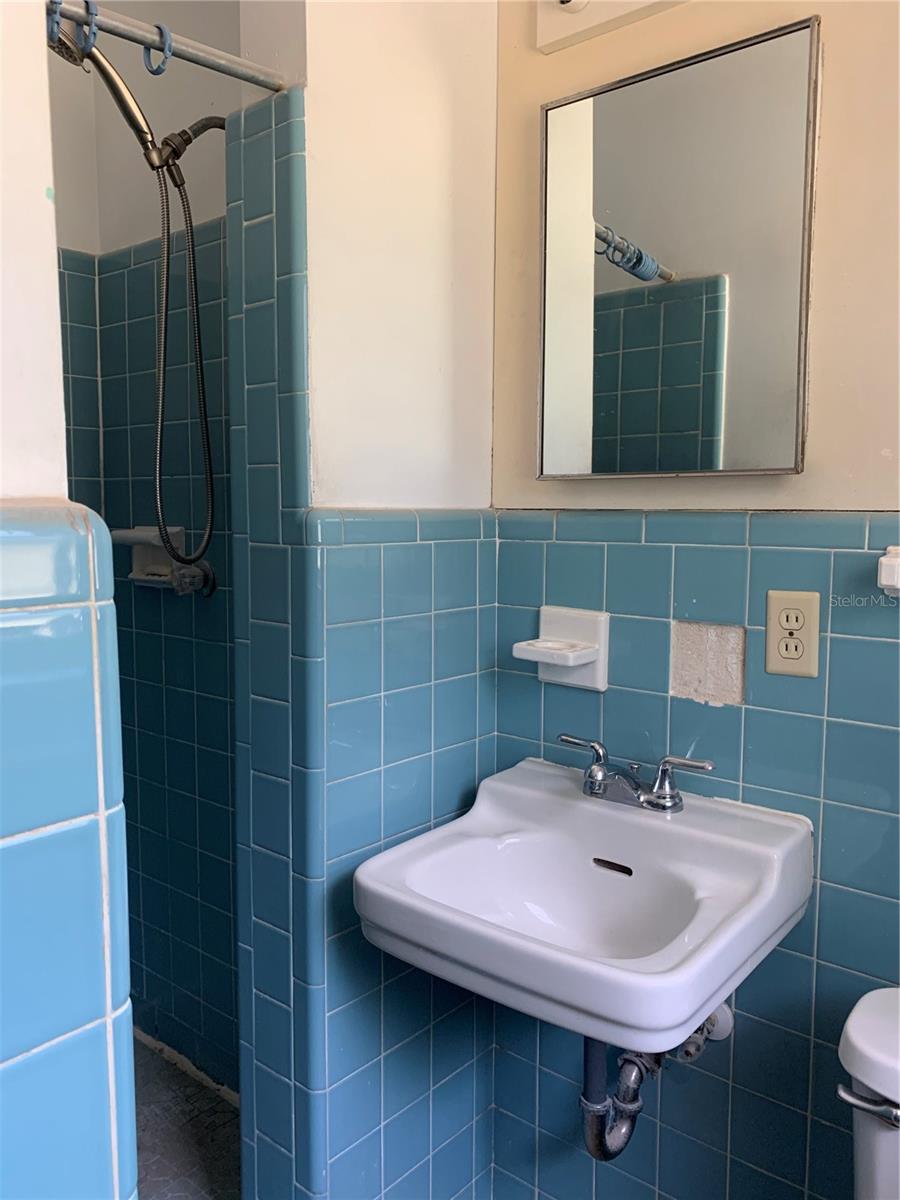 Bathroom 2  has a tall walk in shower.