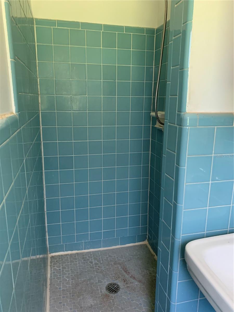 Bathroom 2 shower.