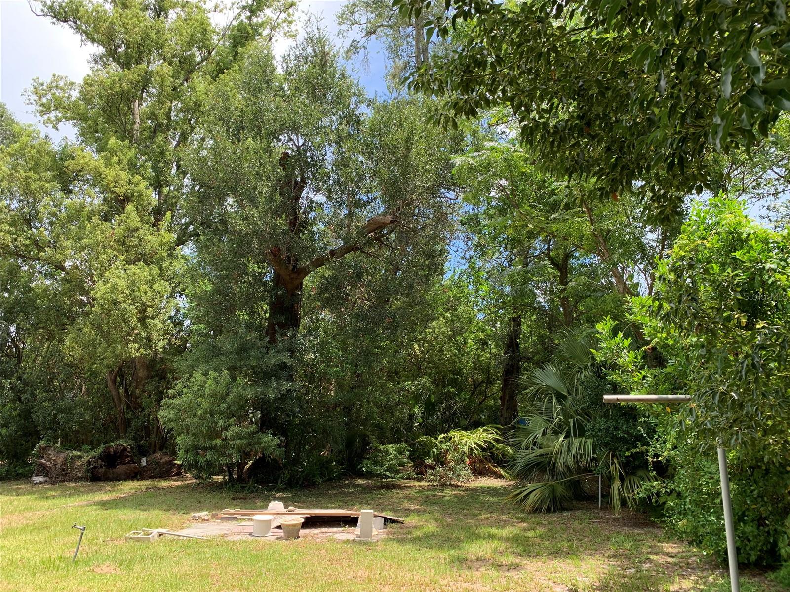 View of backyard