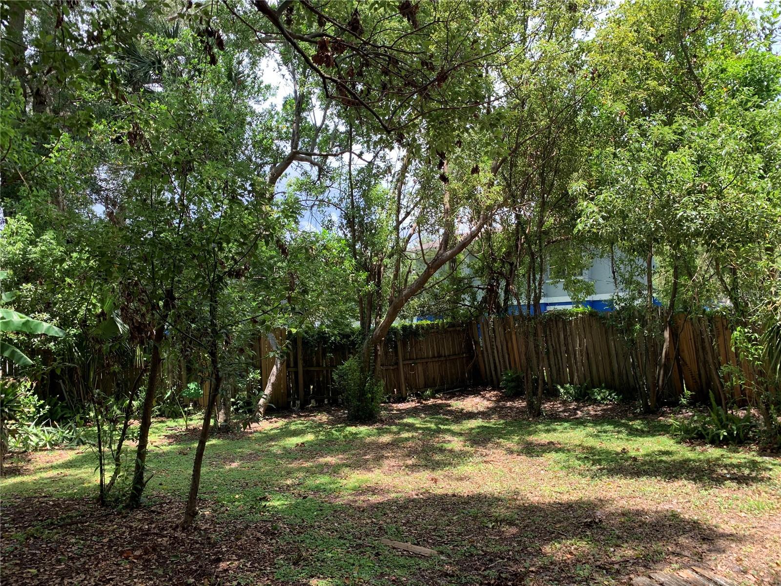 Another backyard view.