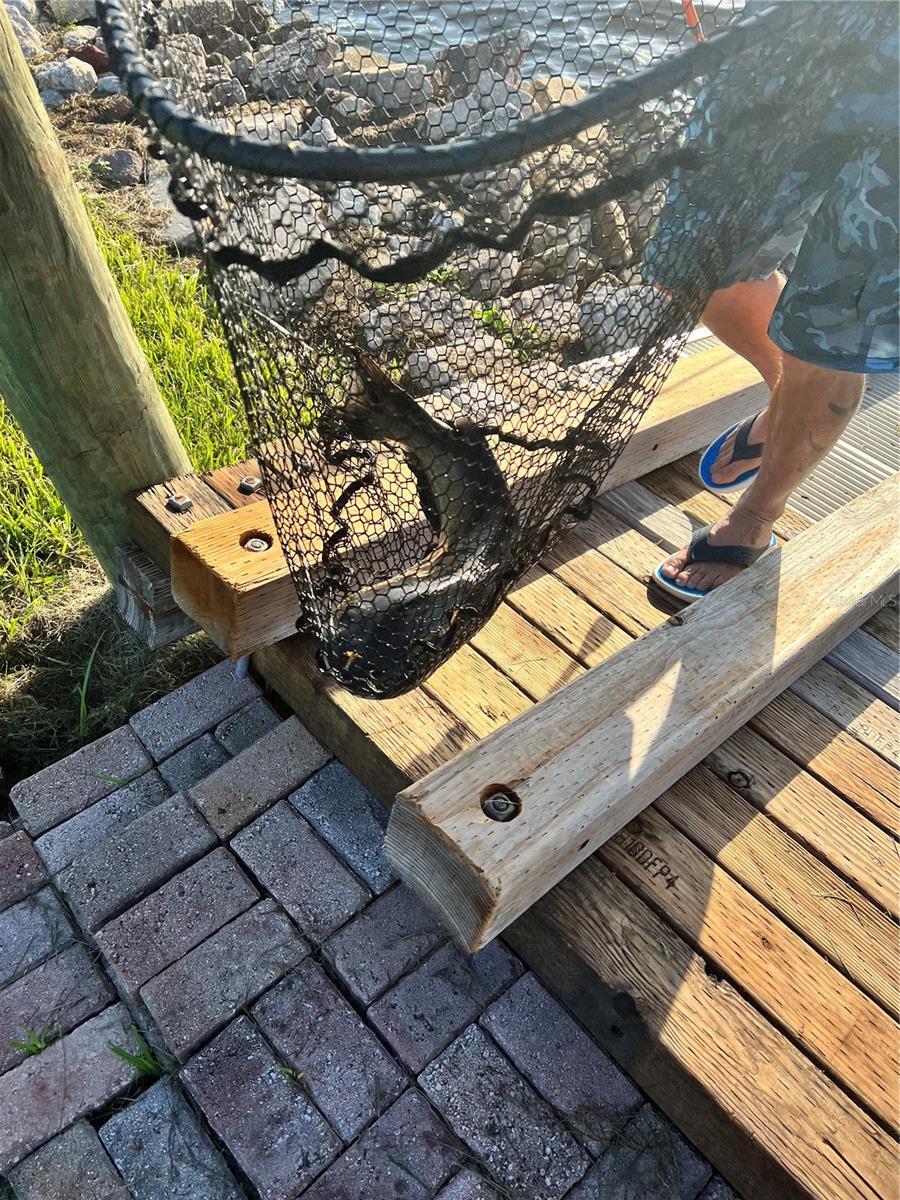 Water access