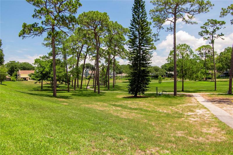 Park/Playground Area