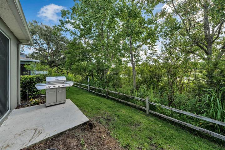Backyard/Conservation-Wetlands