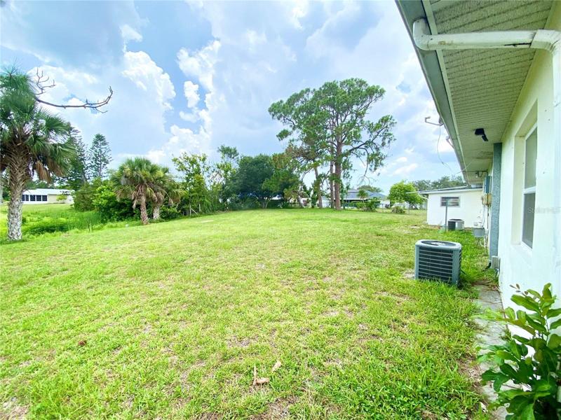 Large Back Yard