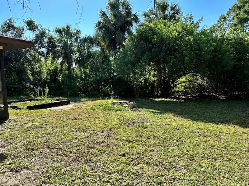Back yard